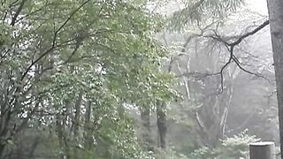 TRA TẤN GÁI NHẬT CLASSIC 64