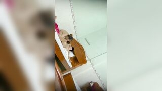 Thanh niên đi chơi cave mbbg mà mới nhún vài cái ra mẹ rồi